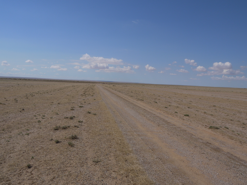 Illustration for article titled Driving a 2004 Honda HR-V in the Gobi Desert